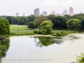 27.07.2014, New York: Rund um den Central Park