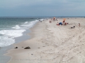 02.08.2014, New York: Coney Island