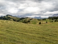 Seiser Alm
