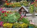 Partschins