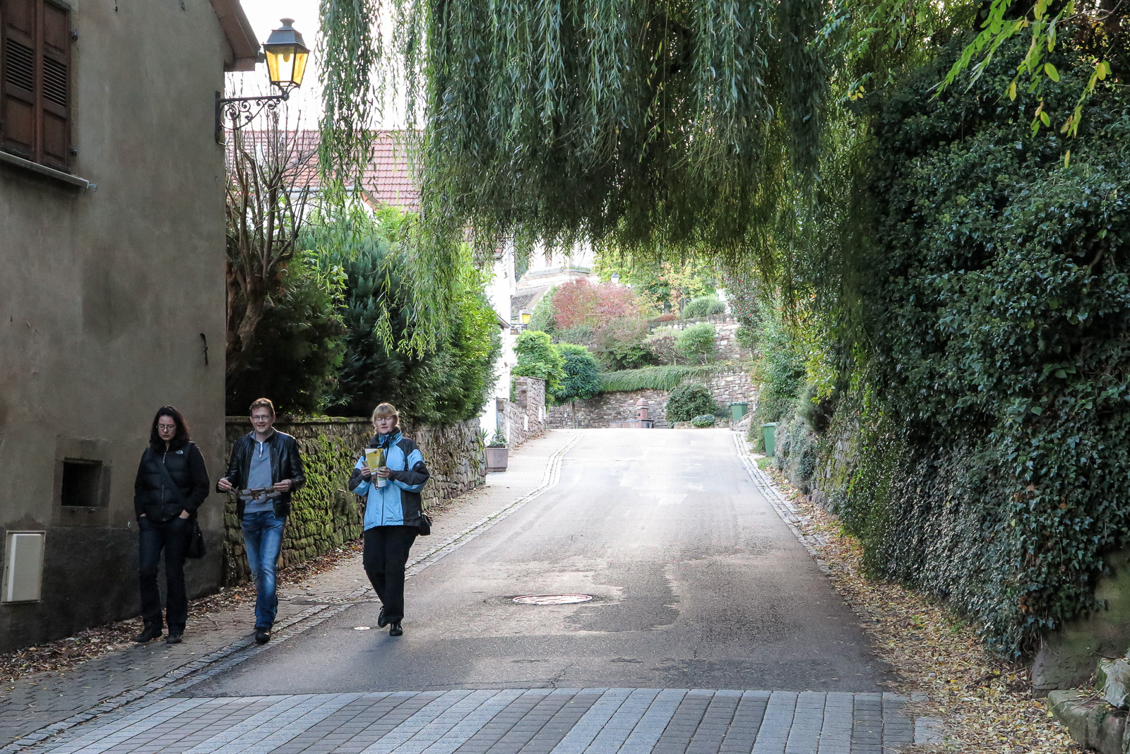 17.10.2014: Elsass / Ottrott