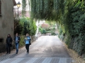 17.10.2014: Elsass / Ottrott