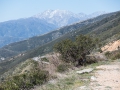 07.03.2015, NPB & NYC: Around San Bernardino