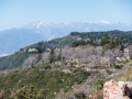 07.03.2015, NPB & NYC: Around San Bernardino