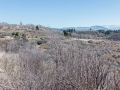 07.03.2015, NPB & NYC: Around San Bernardino
