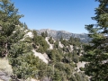 07.03.2015, NPB & NYC: Around San Bernardino