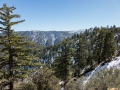 07.03.2015, NPB & NYC: Around San Bernardino