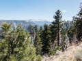 07.03.2015, NPB & NYC: Around San Bernardino
