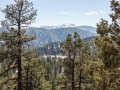 07.03.2015, NPB & NYC: Around San Bernardino