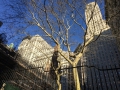 24.03.2015, NPB & NYC: Around Wall Street