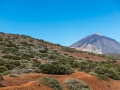 14.04.2015, Teneriffa