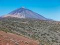 14.04.2015, Teneriffa