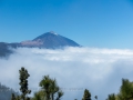 14.04.2015, Teneriffa