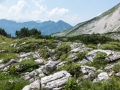 12.08.2015, Oberstdorfurlaub, Nebelhorn Drei Seen Tour