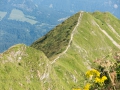 14.08.2015, Oberstdorfurlaub, Über den Fellhornrücken