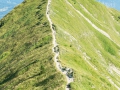14.08.2015, Oberstdorfurlaub, Über den Fellhornrücken