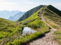 14.08.2015, Oberstdorfurlaub, Über den Fellhornrücken