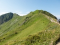 14.08.2015, Oberstdorfurlaub, Über den Fellhornrücken