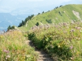 14.08.2015, Oberstdorfurlaub, Über den Fellhornrücken