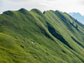 14.08.2015, Oberstdorfurlaub, Über den Fellhornrücken