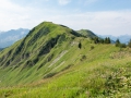 14.08.2015, Oberstdorfurlaub, Über den Fellhornrücken