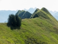 14.08.2015, Oberstdorfurlaub, Über den Fellhornrücken