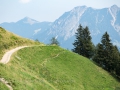14.08.2015, Oberstdorfurlaub, Über den Fellhornrücken