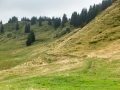 18.08.2015, Oberstdorfurlaub, Hörnertour