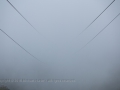 20.08.2015, Oberstdorfurlaub, Auf dem Nebelhorn