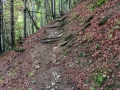15.05.2016, Oberstdorf Kornau - Hochleite - Söllereck - Riezlern