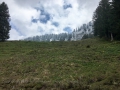 15.05.2016, Oberstdorf Kornau - Hochleite - Söllereck - Riezlern