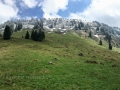 15.05.2016, Oberstdorf Kornau - Hochleite - Söllereck - Riezlern