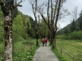 16.05.2016, Oberstdorf Weg zum historischen Dorf Gerstruben