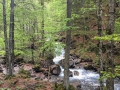 16.05.2016, Oberstdorf Weg zum historischen Dorf Gerstruben
