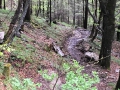 16.05.2016, Oberstdorf Weg zum historischen Dorf Gerstruben