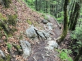 16.05.2016, Oberstdorf Weg zum historischen Dorf Gerstruben