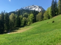 18.05.2016, Oberstdorf Tour zum Kanzelwandhaus