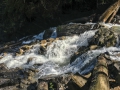 20.05.2016, Oberstdorf Wanderung zum Unteren Gaisalpsee