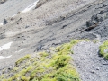 19.08.2016, Bärentrek - Von Mürren nach Kandersteg, Von der Rotstockhütte zur Sefinenfurgge