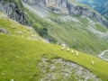 20.08.2016, Bärentrek - Von Mürren nach Kandersteg, Von der Gspaltenhornhütte zur Blüemlisalphütte