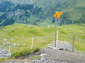 20.08.2016, Bärentrek - Von Mürren nach Kandersteg, Von der Gspaltenhornhütte zur Blüemlisalphütte