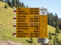 22.08.2016, Bärentrek - Von Mürren nach Kandersteg, Die Allmenalp