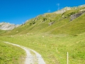 22.08.2016, Bärentrek - Von Mürren nach Kandersteg, Die Allmenalp