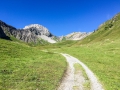 22.08.2016, Bärentrek - Von Mürren nach Kandersteg, Die Allmenalp