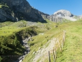 22.08.2016, Bärentrek - Von Mürren nach Kandersteg, Die Allmenalp