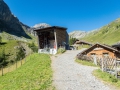 22.08.2016, Bärentrek - Von Mürren nach Kandersteg, Die Allmenalp