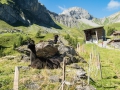 22.08.2016, Bärentrek - Von Mürren nach Kandersteg, Die Allmenalp