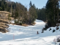 Der traurige Rest der Talabfahrt 14.03.2017 Allgäu, Bayern, Deutschland, Europa, Frühjahr, Frühling, Lenz, METEOROLOGIE, Oberstdorf, Spring, WETTER