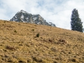 Blick zum Rubihorn vom Wallraffweg 14.03.2017 Allgäu, Bayern, Deutschland, Europa, Frühjahr, Frühling, Gaisalp, Lenz, METEOROLOGIE, Oberstdorf, Reichenbach, Spring, WETTER