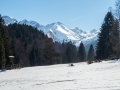 Hinter Schwand auf dem Weg zur Hochleite 16.03.2017 Allgäu, Bayern, Deutschland, Europa, Frühjahr, Frühling, Lenz, METEOROLOGIE, Oberstdorf, Schwand, Spring, WETTER